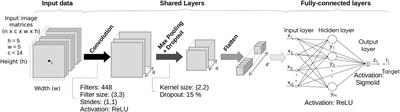 Interpretation of Convolutional Neural Networks for Acid Sulfate Soil Classification